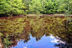 Gold-Hill-Pond-Gold-Hill-Mines-Historic-Park