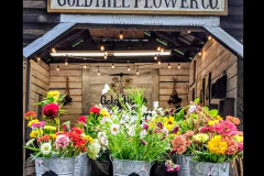 GH-Flower-Co3