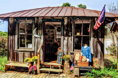Miss-Doras-Store